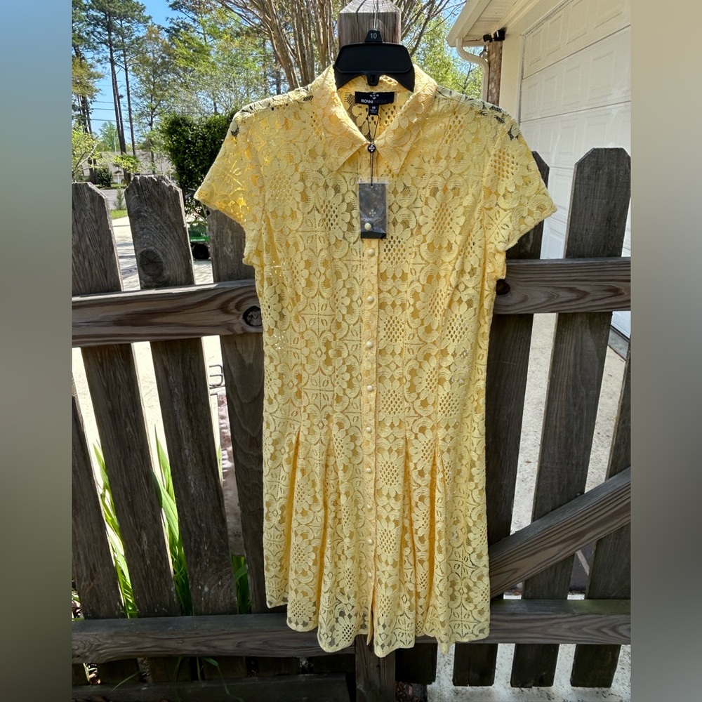 Lace Dress and Matching Slip